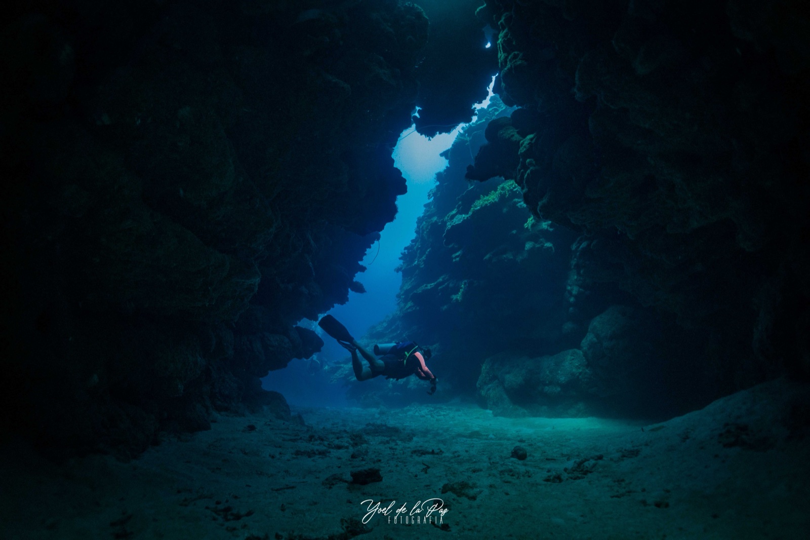 Diver descending the coral wall off Cienfuegos