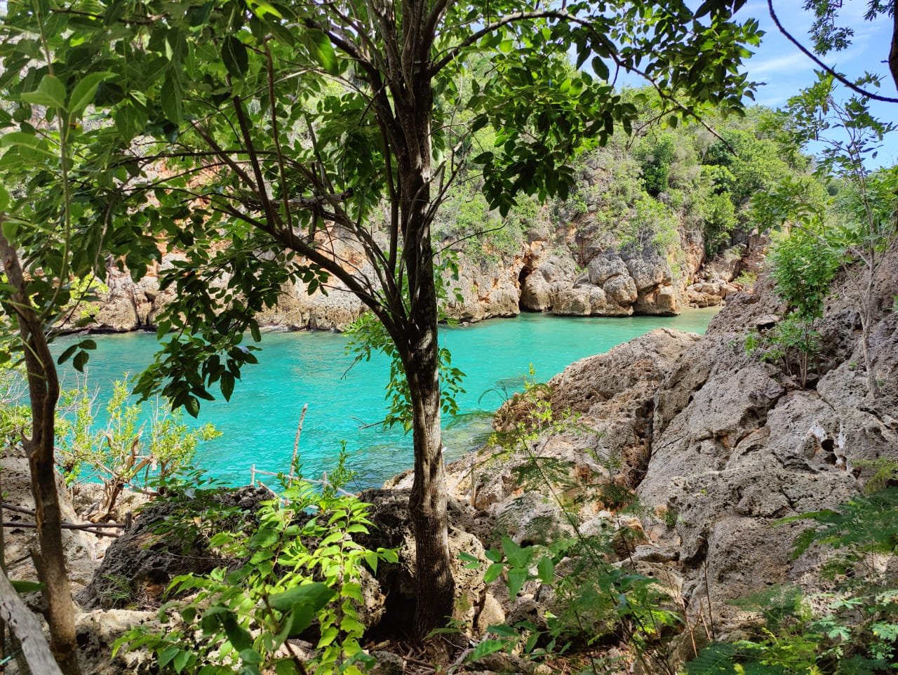 Guajimico — photo 28