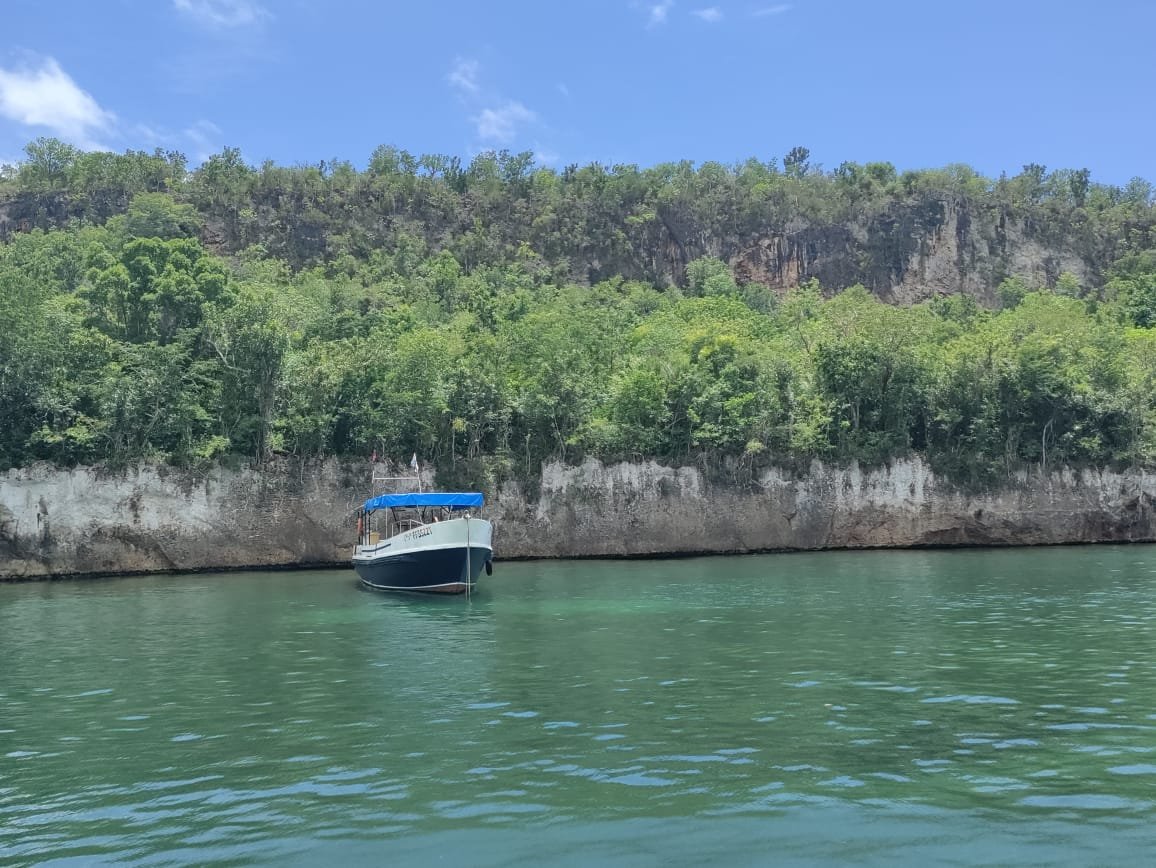 Guajimico — photo 29