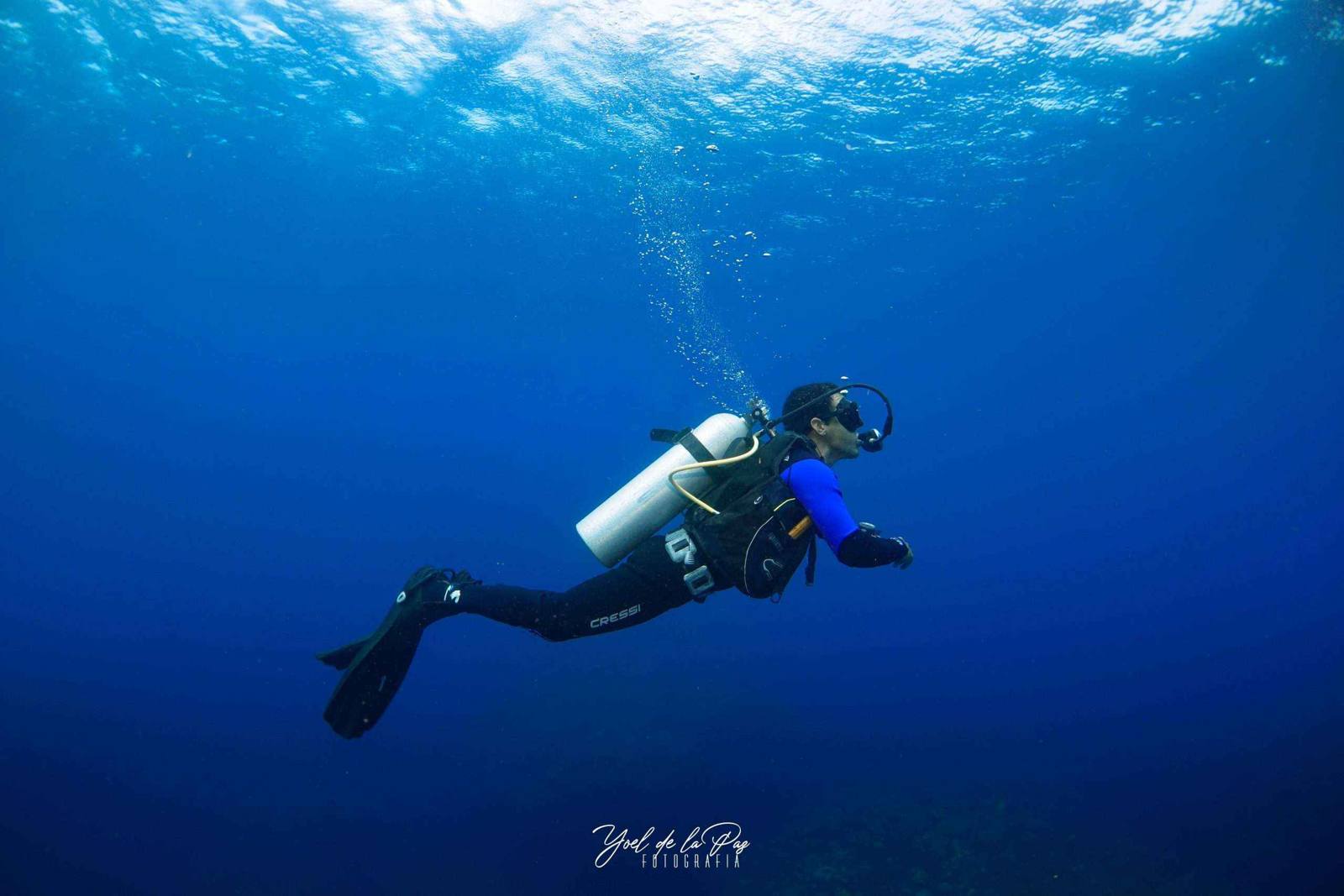 Diver in mid-water near the surface