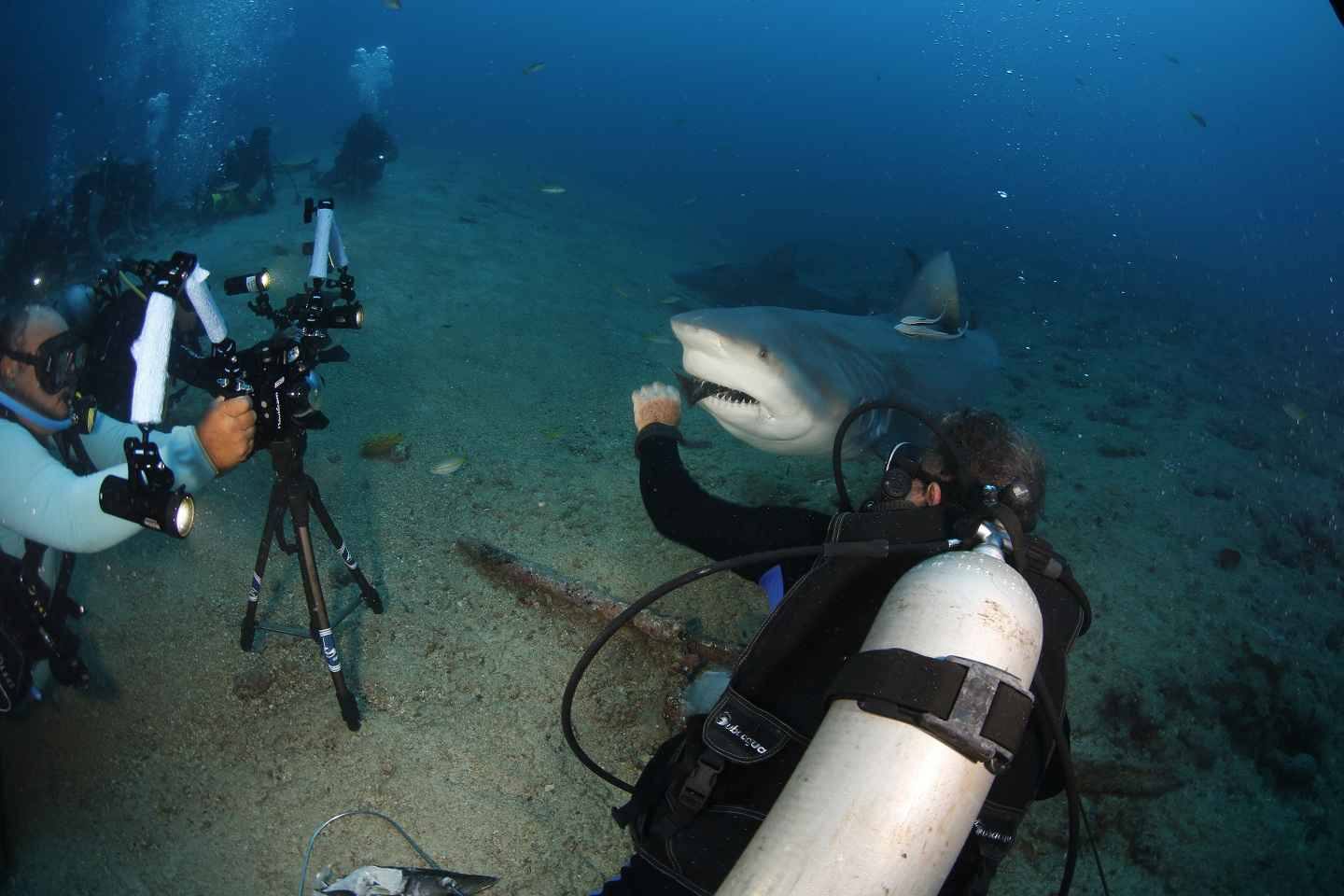 Diver descending toward the seabed in deep blue water