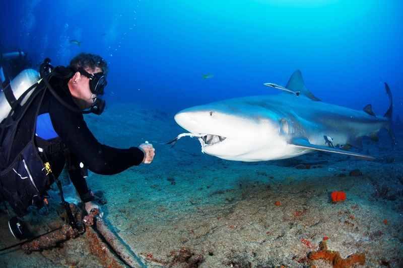 Diver swimming along a Cuban reef ledge